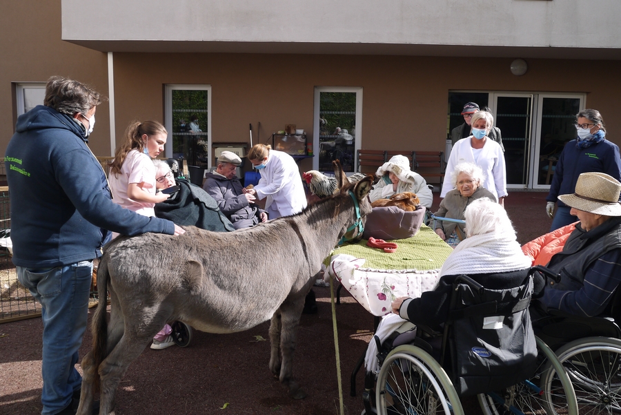 Ferme-Grandris-3